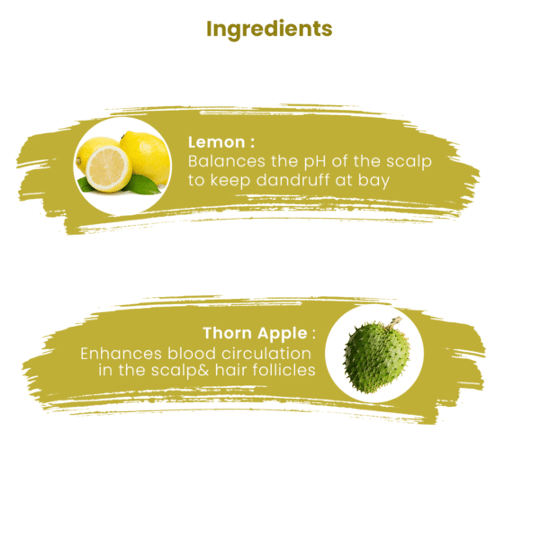 ingredients of lime shampoo - scalp shampoo for dandruff