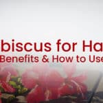 Hibiscus for hair