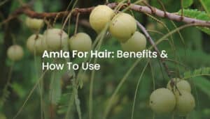 Amla for hair growth