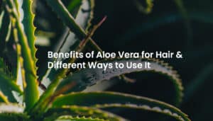 aloe vera for hair