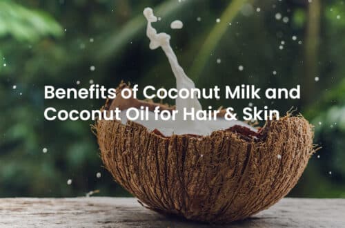 Benefits of Coconut Milk and Coconut Oil for Hair & Skin